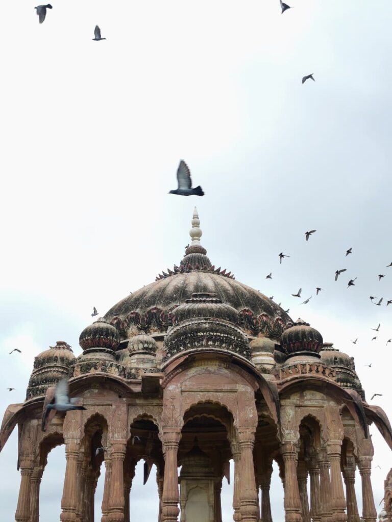 whatsapp image 2026 08 24 at 7.00.23 pm